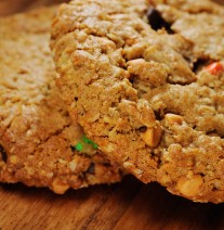 A flourless treat made with peanut butter, oats, butterscotch, chocolate chunks and M&M's